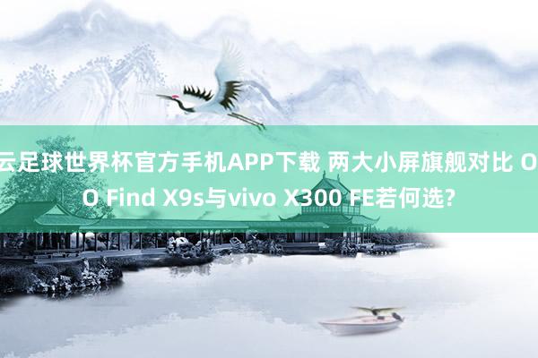 开云足球世界杯官方手机APP下载 两大小屏旗舰对比 OPPO Find X9s与vivo X300 FE若何选?