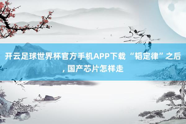 开云足球世界杯官方手机APP下载 “韬定律”之后, 国产芯片怎样走
