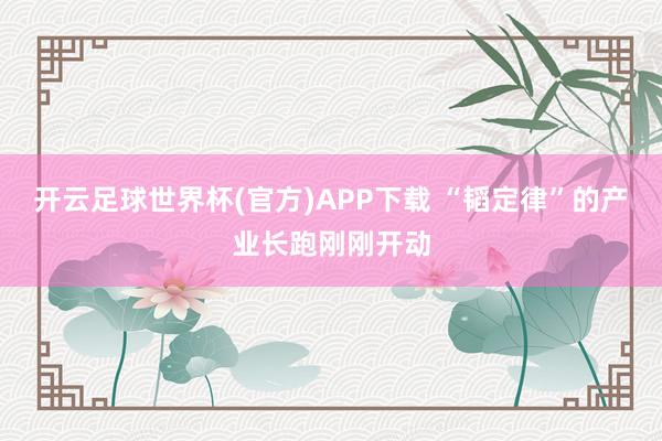 开云足球世界杯(官方)APP下载 “韬定律”的产业长跑刚刚开动