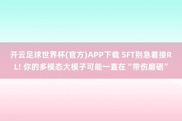 开云足球世界杯(官方)APP下载 SFT别急着接RL! 你的多模态大模子可能一直在“带伤磨砺”