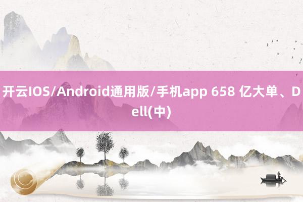 开云IOS/Android通用版/手机app 658 亿大单、Dell(中)