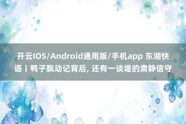 开云IOS/Android通用版/手机app 东湖快语丨鸭子飘动记背后, 还有一谈堤的肃静信守