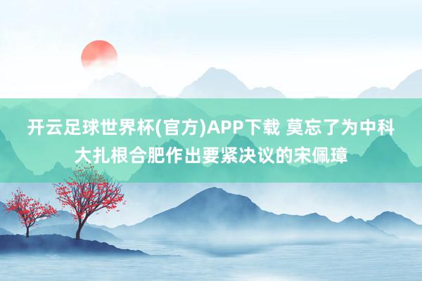 开云足球世界杯(官方)APP下载 莫忘了为中科大扎根合肥作出要紧决议的宋佩璋