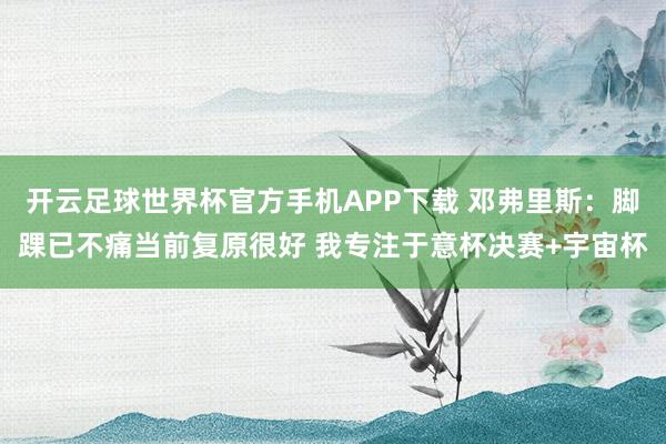 开云足球世界杯官方手机APP下载 邓弗里斯：脚踝已不痛当前复原很好 我专注于意杯决赛+宇宙杯