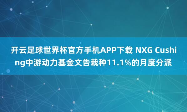 开云足球世界杯官方手机APP下载 NXG Cushing中游