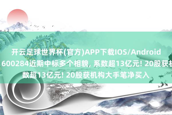 开云足球世界杯(官方)APP下载IOS/Android通用版/手机app 600284近期中标多个相貌， 系数超13亿元! 20股获机构大手笔净买入