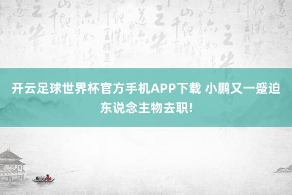开云足球世界杯官方手机APP下载 小鹏又一蹙迫东说念主物去职!