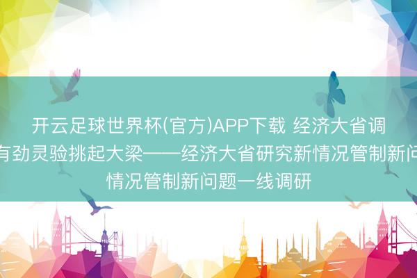 开云足球世界杯(官方)APP下载 经济大省调研行｜愈加有劲灵验挑起大梁——经济大省研究新情况管制新问题一线调研
