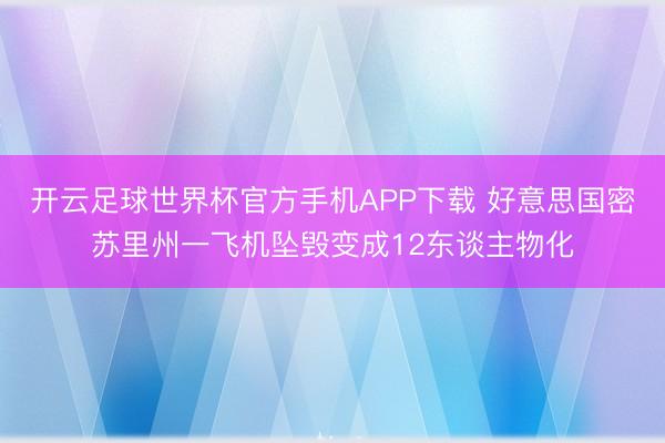 开云足球世界杯官方手机APP下载 好意思国密苏里州一飞机坠毁变成12东谈主物化