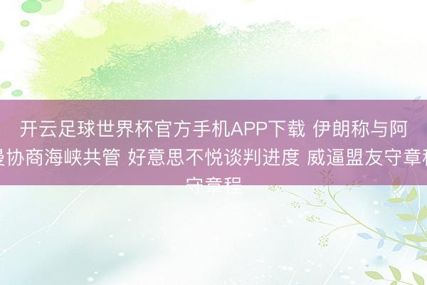 开云足球世界杯官方手机APP下载 伊朗称与阿曼协商海峡共管 好意思不悦谈判进度 威逼盟友守章程