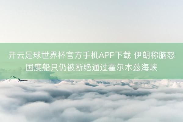 开云足球世界杯官方手机APP下载 伊朗称脑怒国度船只仍被断绝通过霍尔木兹海峡