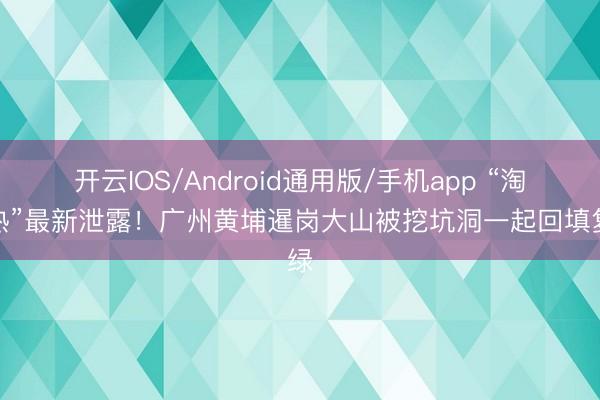 开云IOS/Android通用版/手机app “淘晶热”最新泄露！广州黄埔暹岗大山被挖坑洞一起回填复绿