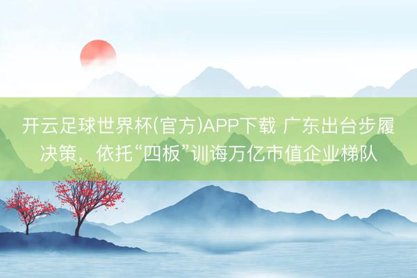 开云足球世界杯(官方)APP下载 广东出台步履决策，依托“四板”训诲万亿市值企业梯队