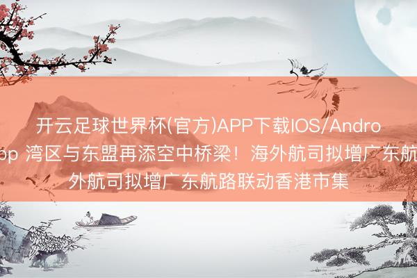开云足球世界杯(官方)APP下载IOS/Android通用版/手机app 湾区与东盟再添空中桥梁！海外航司拟增广东航路联动香港市集