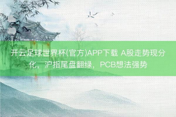 开云足球世界杯(官方)APP下载 A股走势现分化，沪指尾盘翻绿，PCB想法强势