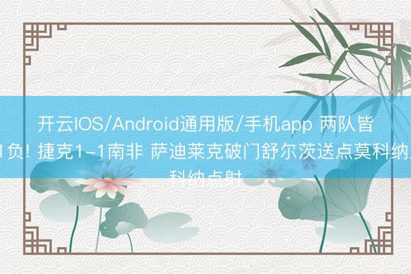 开云IOS/Android通用版/手机app 两队皆1平1负! 捷克1-1南非 萨迪莱克破门舒尔茨送点莫科纳点射