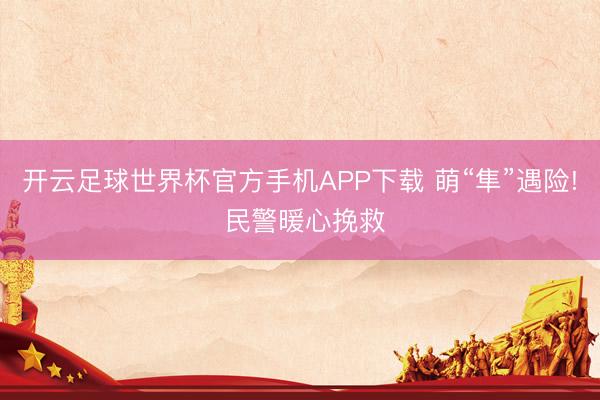 开云足球世界杯官方手机APP下载 萌“隼”遇险! 民警暖心挽救